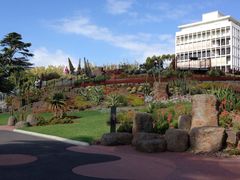 -墨尔本皇家植物园