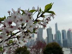 -北外滩滨江绿地