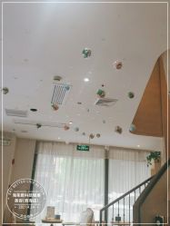 -海茱雅科技健康美容