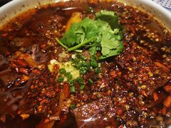 -铁公鸡·四川料理(天环广场店)