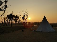 -春花秋色城市公园