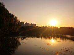 -昆山城市生态森林公园