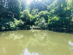-瀛洲公园