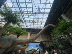 -国家自然博物馆