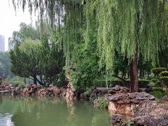 -西苑公园