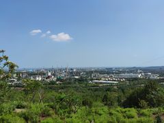 -白水寺森林公园