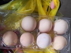 -马陆小张葡萄园农家乐