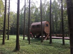 -黄海国家森林公园