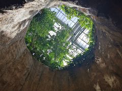 -南山植物园