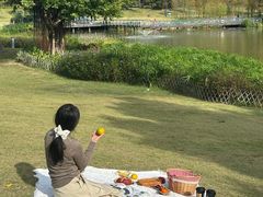 -牛岗山公园