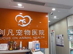-创凡宠物医院·骨专科  猫科中心(西乡分院)