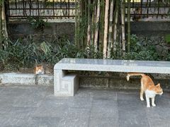 -晓港公园