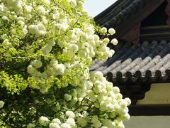-常熟方塔园