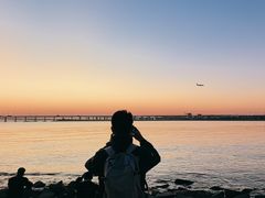 -宝安西湾红树林湿地公园