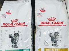 -菲尔斯特宠物医院