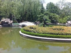 -山东大厦