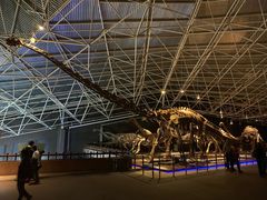 -世界恐龙谷景区