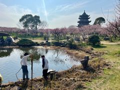-上海海湾国家森林公园