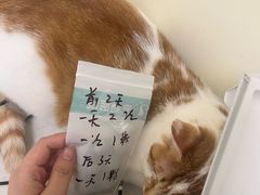 -心语宠物医院·急重症转诊中心·瑞辰华诺(南青路店)