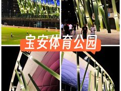 -深圳市宝安体育中心体育场