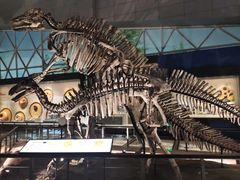 -湖南省地质博物馆