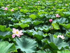 -重元寺香积厨素斋馆