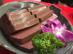 谭公鸭血-谭鸭血老火锅(漳州路店)