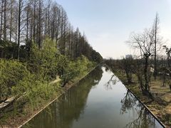 -上海长兴岛郊野公园