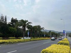 -演武大桥观景平台