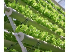 -兰陵国家农业公园