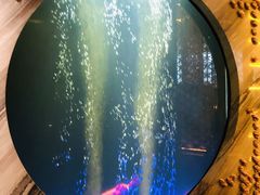 -莉莉海堂HAITANG·烤鸭(国贸商城店)
