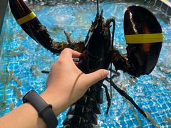 -巧克力渔家.小船海鲜胶东菜(万平口店)