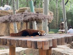 -北京野生动物园