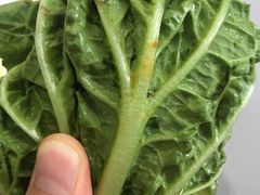 -赤峰宴宾楼(满洲里路店)