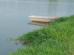 -洋湖国家湿地公园