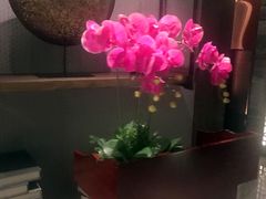 大堂-同庆楼(金宝汇店)