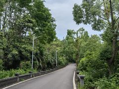 -青龙山国家森林公园