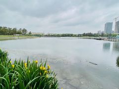 -美兰湖景区