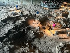 -自贡恐龙博物馆