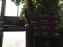 -呀路古热带植物园