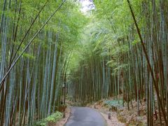 -苏州环秀晓筑养生度假村