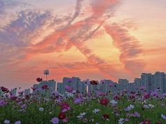 -洋湖国家湿地公园