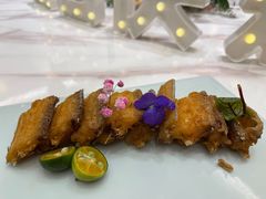 -九鹿台(恒都广场店)