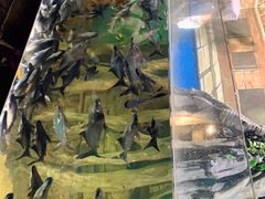 -顺德南宏海立方海洋公园
