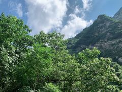 -少华山国家森林公园