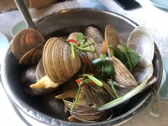 一桶蚬子-渔娘渔家丹东海鲜(东直门店)