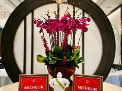 -万豪金殿(香港JW万豪酒店)