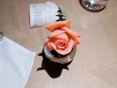 -佐度王子扒房(爱建卓展店)