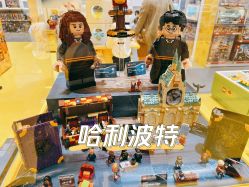 -乐高授权专卖店(南开大悦城店)