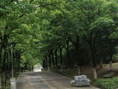 -白塘生态植物园